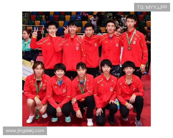 全国锦标赛点评：南京乒乓球队的灵活性表现